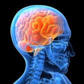 Optum, VA Pick 3 Teams to Develop Medical Tech for Military Vets with Brain Injuries - top government contractors - best government contracting event