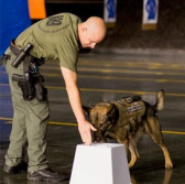 Johns Hopkins APL Licenses Govt-Funded Explosive Detection Canine Training Aid to Gallant - top government contractors - best government contracting event