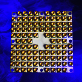 Intel Takes Part in White House's Quantum Computing Summit - top government contractors - best government contracting event