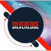 SilverEdge to Provide Software Services to Intell Agency
