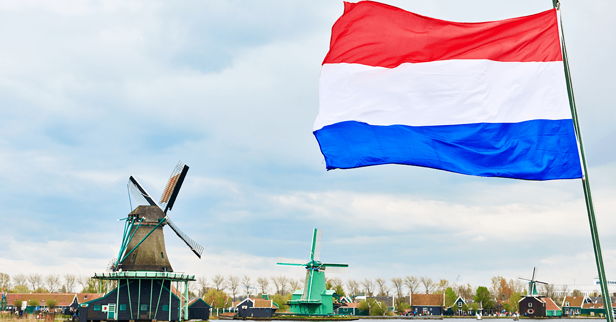 Who Are the US Allies: A Comprehensive Guide to America's Key International Partnerships - top government contractors Netherlands