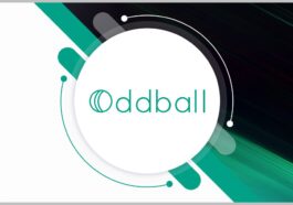 Oddball Wins Contracts to Improve Veterans Access to Government Websites
